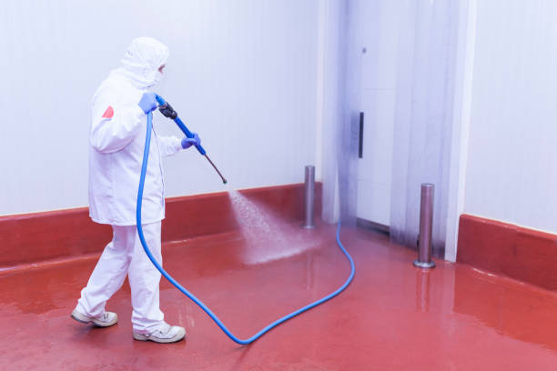 Best Pool Deck Cleaning  in Port Barrington, IL